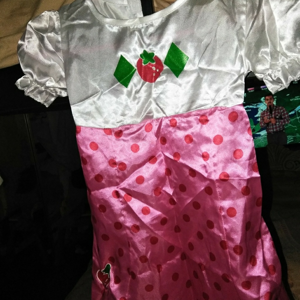 Strawberry shortcake costume